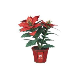 Cutebee 3D Bloem Kerstster / Poinsettia – FWLP108