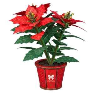 Cutebee 3D bloem kerstster poinsettia FWLP108 met transparante achtergrond