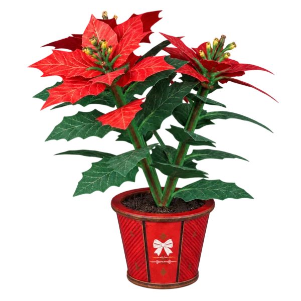 Cutebee 3D bloem kerstster poinsettia FWLP108 met transparante achtergrond