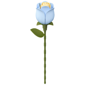 ROKR Blue Rose AD021