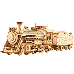 ROKR Prime Steam Express MC501