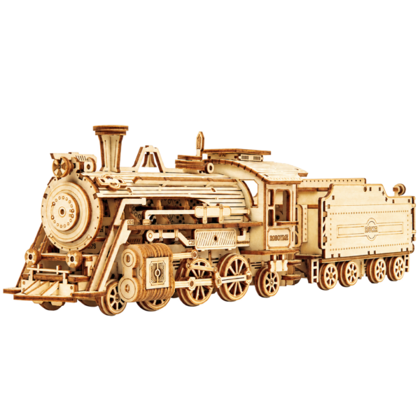 ROKR Prime Steam Express MC501