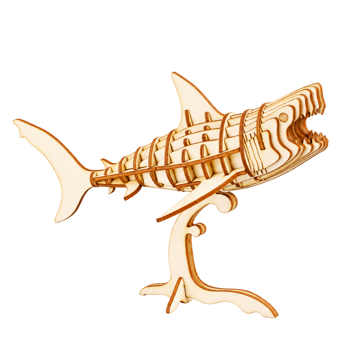 Rolife Shark TG274
