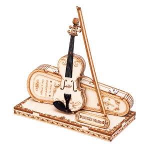 ROKR Violin TG604K