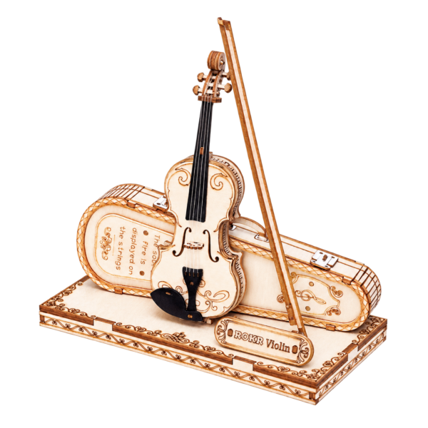 ROKR Violin TG604K