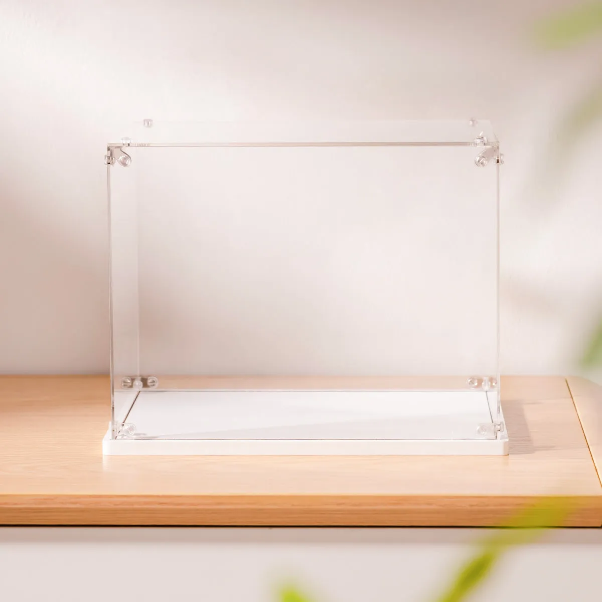 Rolife Creation Set Displaybox TGF01
