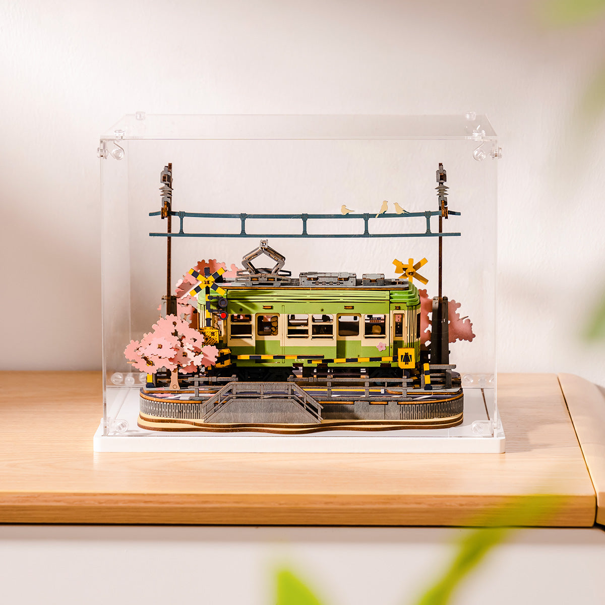 Rolife Creation Set Displaybox TGF01 - Afbeelding 2