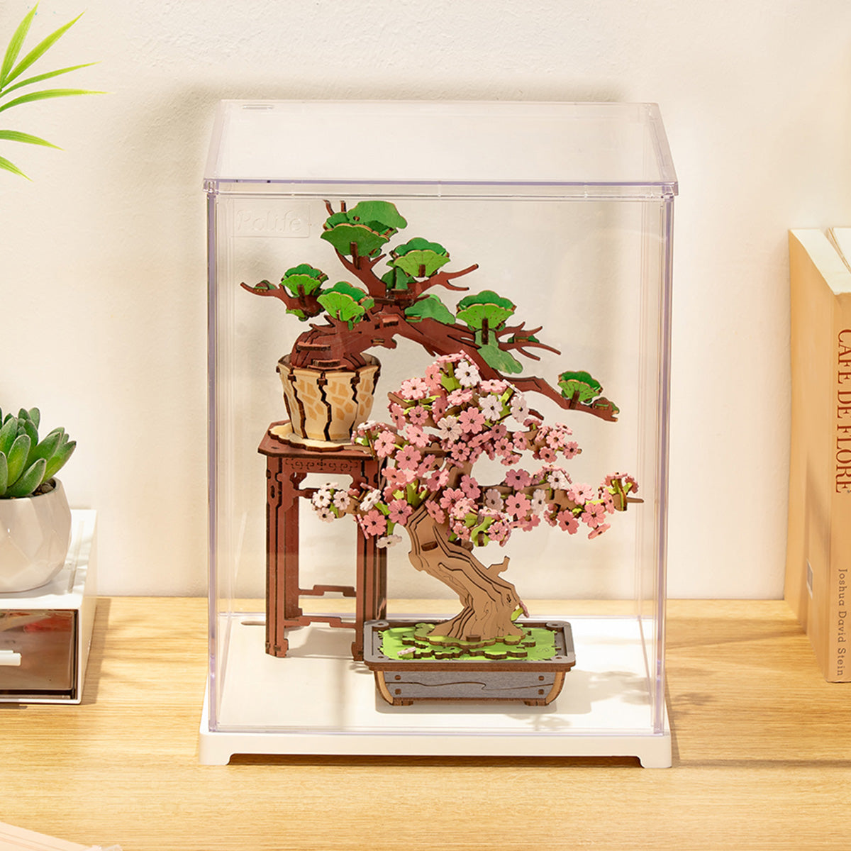 Rolife Acryl Displaybox Staand M DF05L - Afbeelding 2