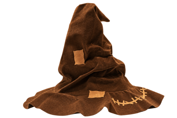 Harry Potter 3D modelbouw Talking Sorting Hat – 1632